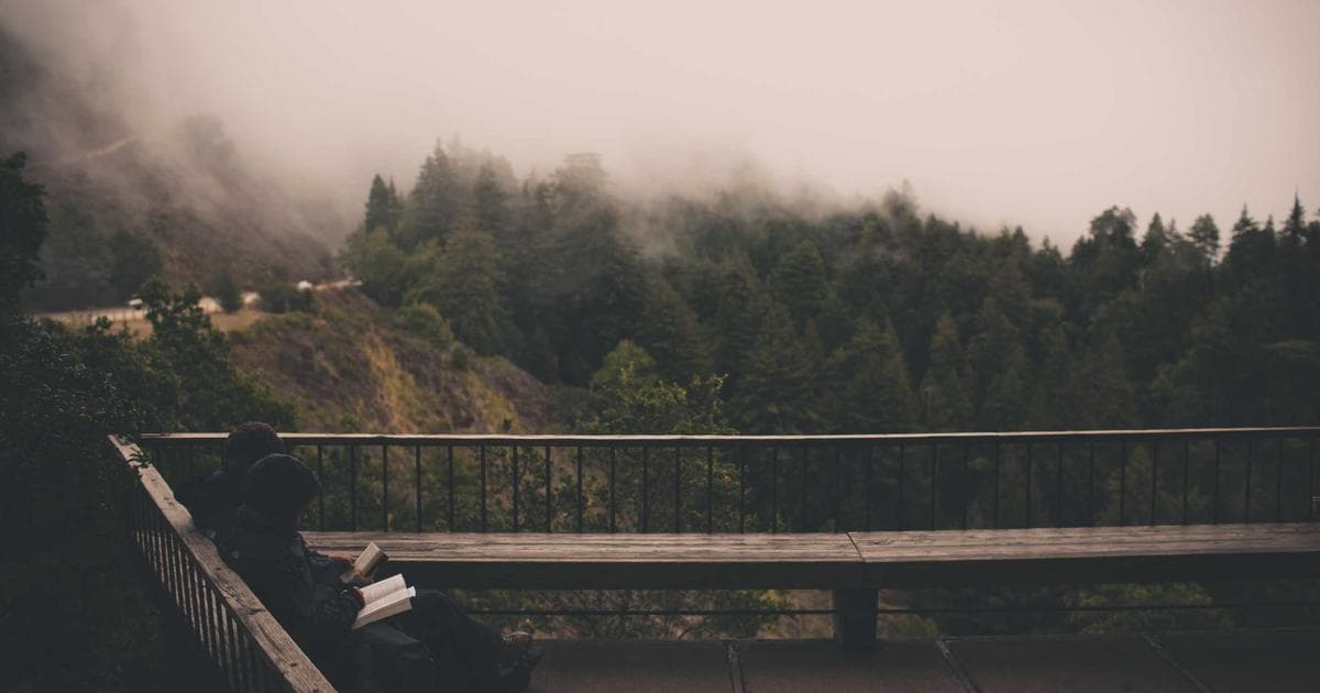 A Learning Typology: 7 Ways We Come To Understand