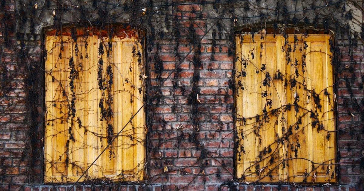 Academic Authoritarianism in a New Attack on Humanities Scholars